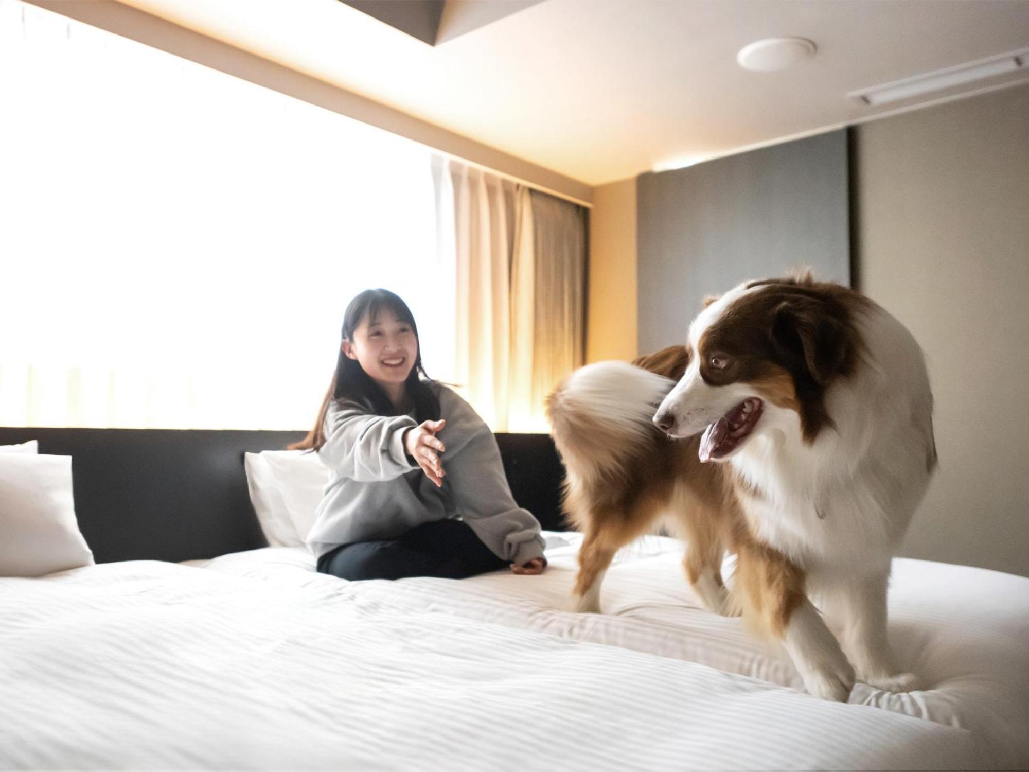 Hotel Anddoggy Kyoto Nijo Quioto Exterior foto